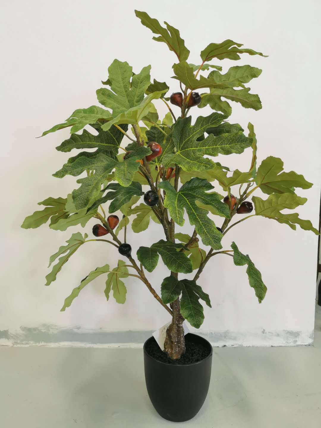 La fábrica se especializa en el suministro de productos de jardinería de plantas verdes