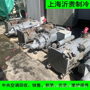 �_���L�����ݗU�C�^�F��06TTA356SS1C �����_��������{����