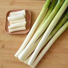 ���r�߲�ɽ�|�F�U���[�r�ҷNֲ�����{ζ����I�B�S��һ�����l���l