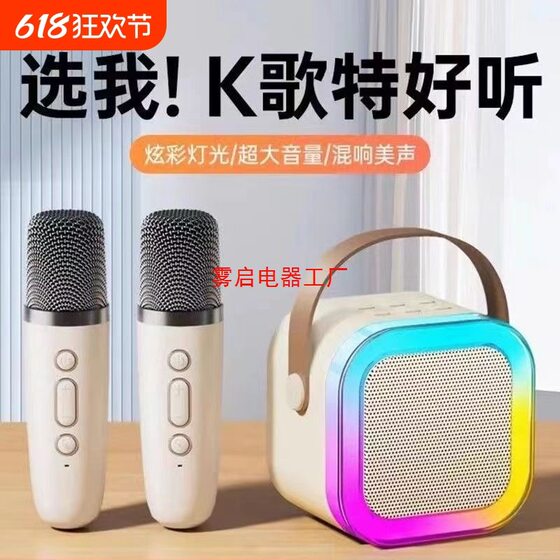 Portable Bluetooth Speaker, Small Speaker, Karaoke with Wireless Microphone, Ambient Light, Harman Bass, High-Looking Speaker