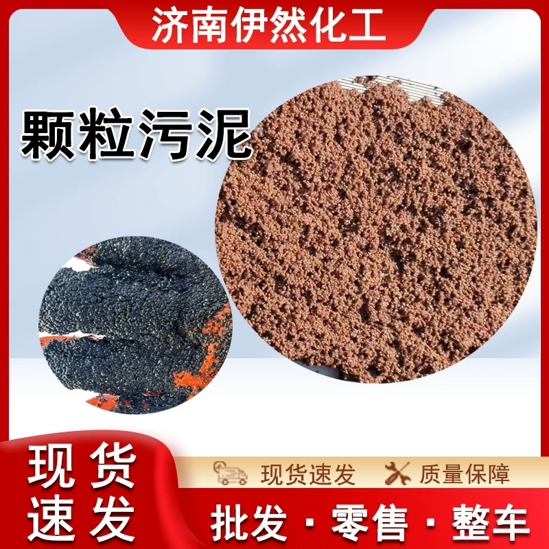 Анаэробные частицы ила Активный ил Очистка сточных вод Дазотин сферические частицы анаэробные частицы шлам