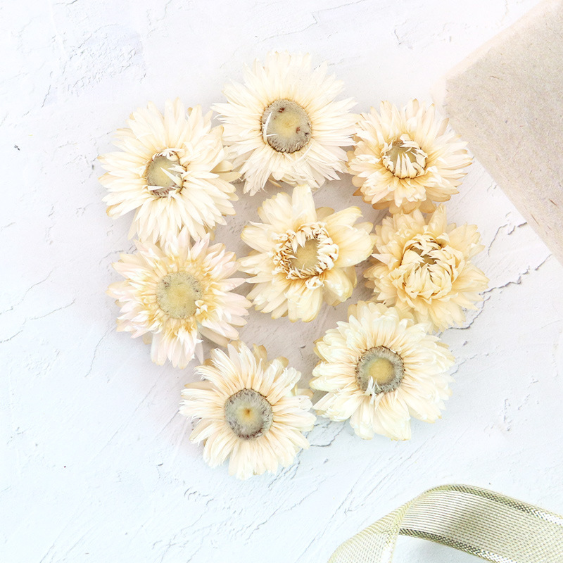 파인 화이트 500g