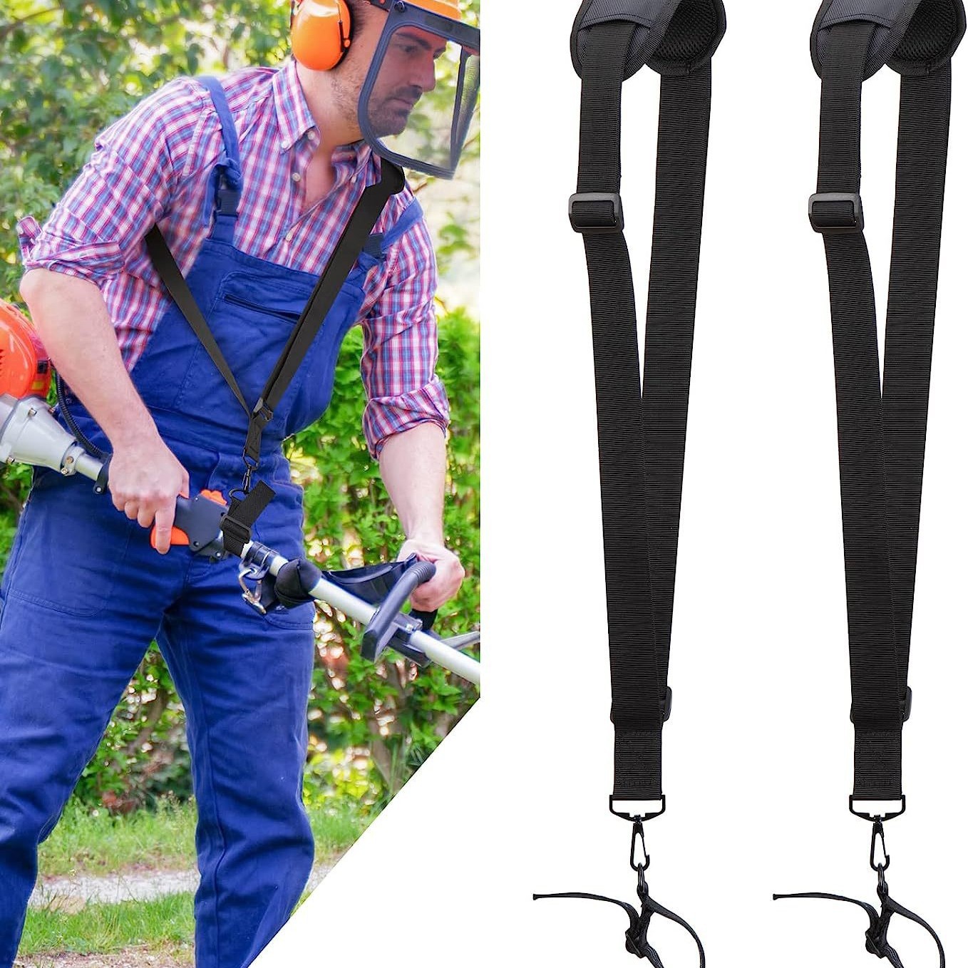 2025-02-26 08:50:42.jpg