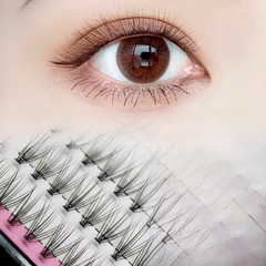 Natural New Style Pink Card Straw Man Eyelash Grafting Flower Hair Single Cluster Planting False Eyelashes 