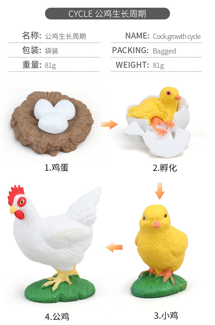 生长周期内页_04