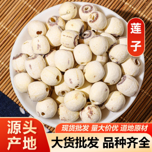 ɏ�� ��ɏ�Ӽtɏ��ȥоɏ��ɏ������ș��������� ��ĥ������ă�