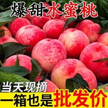 ����ˮ����ë�ґ����ЋDˮ���Fժ���Ҵ��������������l