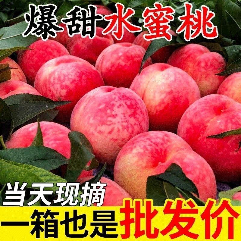 Peach, Honey Peach, Seasonal Fruit for Pregnant Women, Freshly Picked Crispy Peach, Crispy Sweet Peach, Whole Box Wholesale