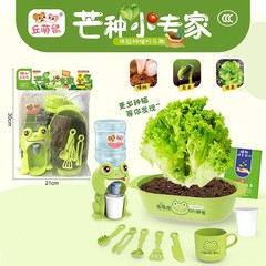 Children's DIY small potted plant play house toy scientific experiment plant seed vegetable planting blind box observation tool