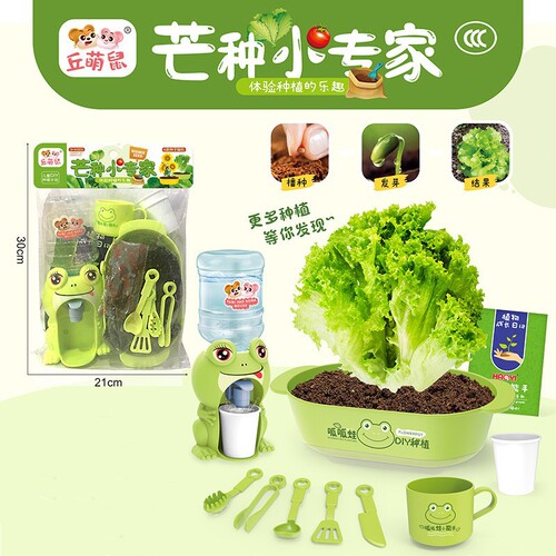 Children's DIY small potted plant play house toy scientific experiment plant seed vegetable planting blind box observation tool