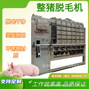 ���i��ë�C ���i��ë�CÓë�Cȫ�Ԅ��i��ë�C�iÓë�C