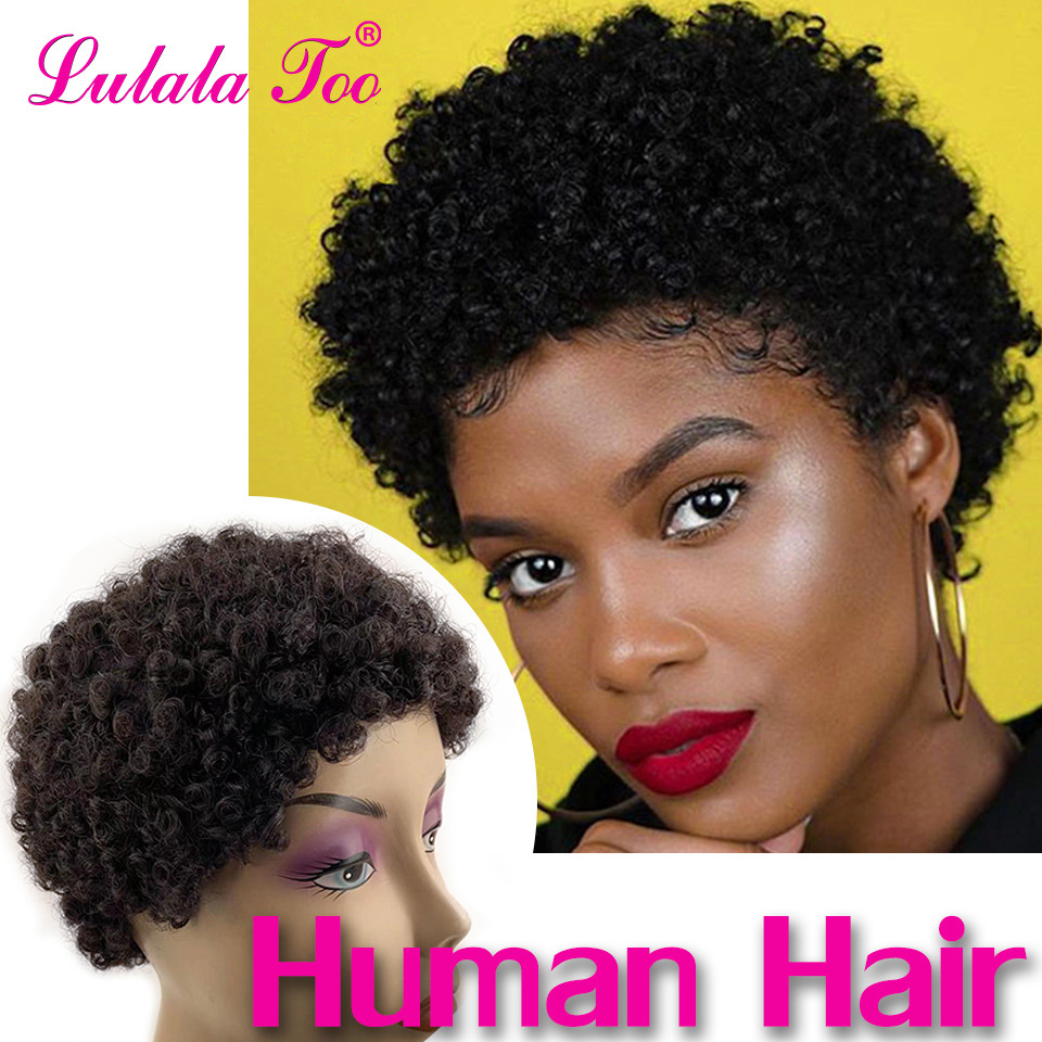Afro Curly Human Hair Wig Afro Curly Hum...