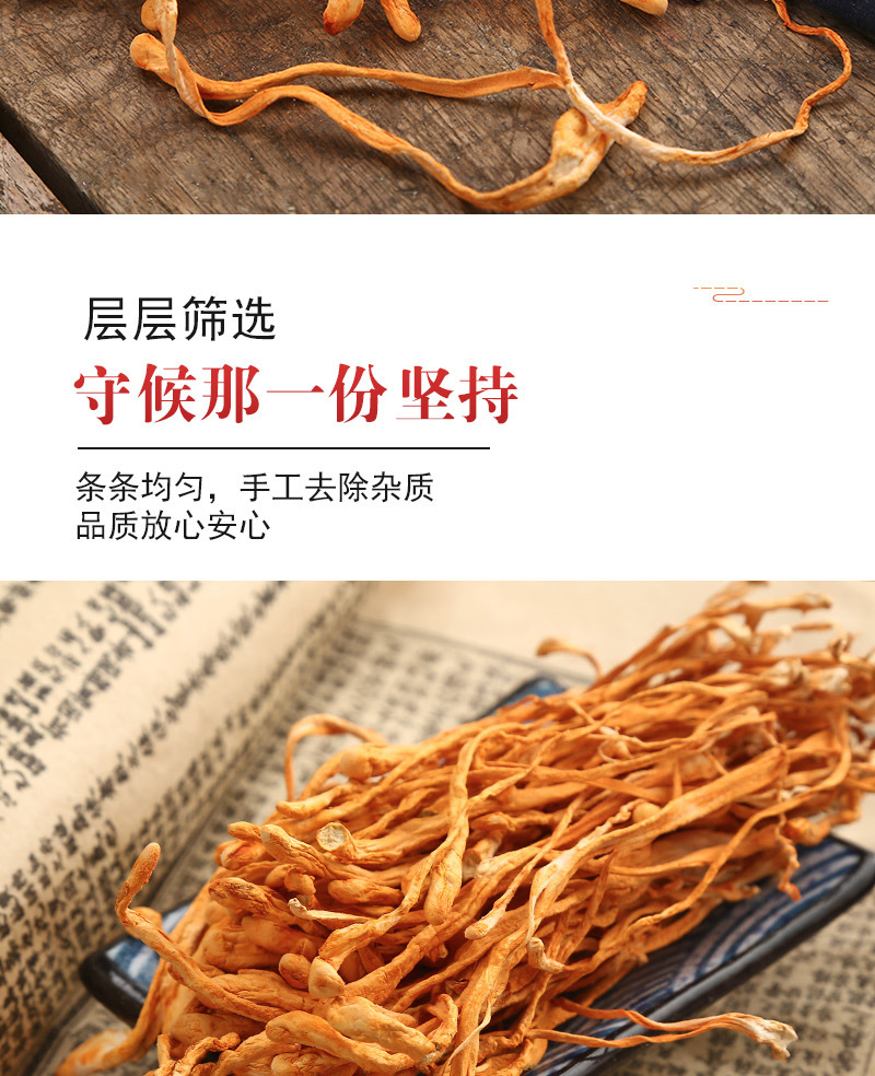 Cordyceps Flower (Cordyceps militaris) — Dried Edible Mushroom for Soup & Broth, 500g quality and texture