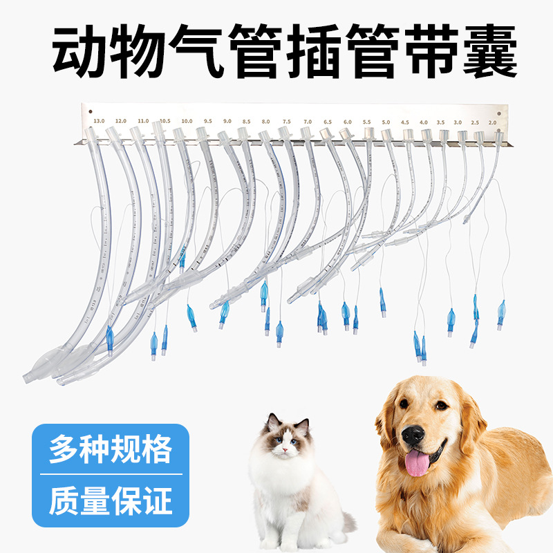 晨康动物猫狗呼吸麻醉手术用气管插管带气囊型号齐全宠物医院同款