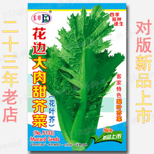 ߅˷N s1600~~ͼұɫͺ˷N