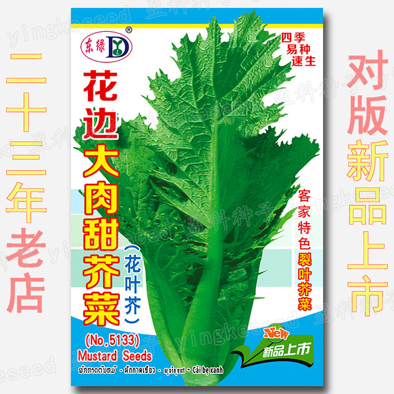 Lace Big Meat Sweet Mustard Seeds, about 1,600 Split-Leaf Mosaic Hakka Local Characteristics Cold-Resistant Mustard Seeds