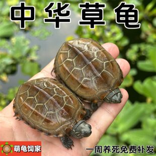 ���������ڸ��𾀲����լ��ؔ���A��������Hī��ˮ����С������