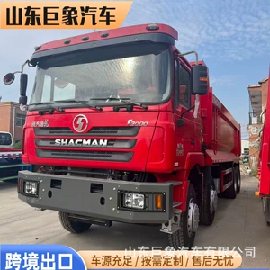 Cross-border export of Shaanxi Auto DeLong F3000 8*4 dump truck, front four-wheel drive, rear eight-wheel drive, for transporting sand, gravel, and soil, suitable for mining operations
