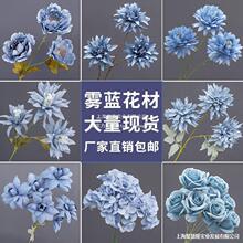 ��c�F���{����Y���T������·���Y�黨���üٻ��{ɫ��Y��ˇ�r��