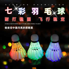 现货供应夜光羽毛球带灯发光LED夜间荧光耐打真羽毛【散装款