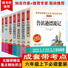 鲁滨逊漂流汤姆索亚尼尔斯骑鹅旅行记小英雄雨来六年级必读爱阅读