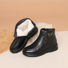 �O��2025�����ů�ӽq�Ӻ��^��ţƤŮʿ���eƤЬ