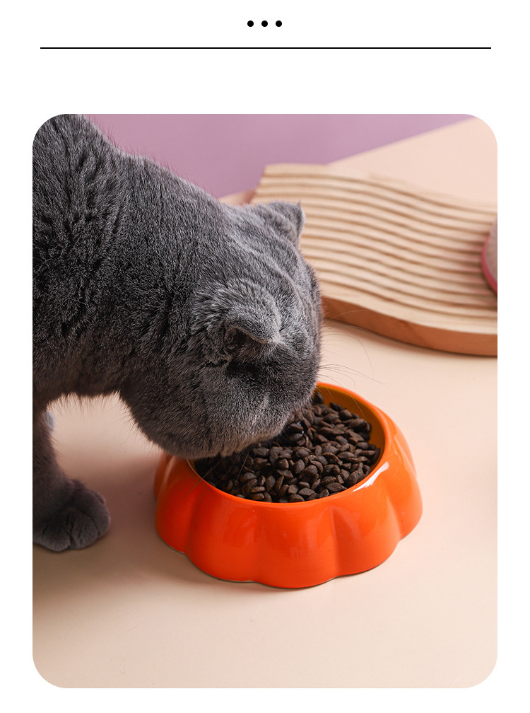 水果猫碗_10.jpg