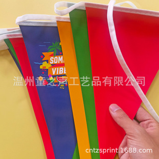 Paper Pvc String Flag Manufacturer, Colorful Flag, Triangular Flag, Special-Shaped Flag, Festival Celebration, Stadium Atmosphere, Hanging Flag Customization