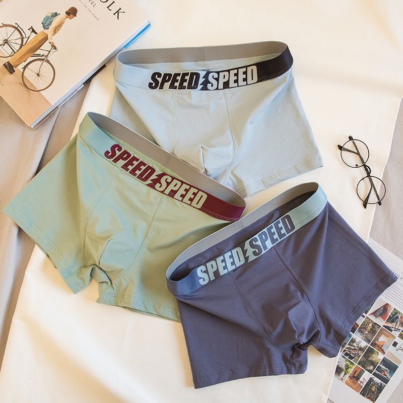 909: 라이트 블루 녹색 다크 그레이