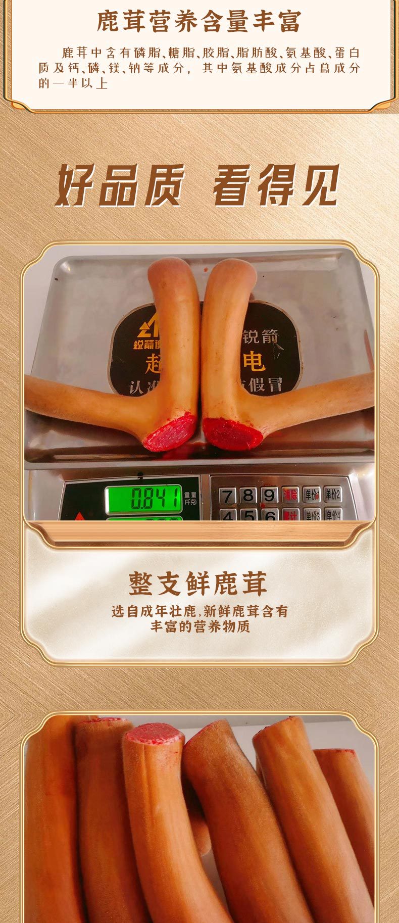 微信图片_20230324091429_03