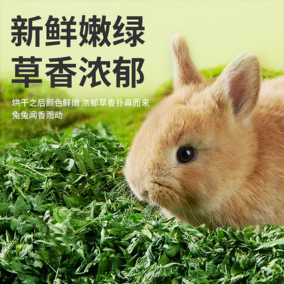 yee纯叶苜蓿草兔子粮食干草料荷兰猪龙猫幼兔饲料苜蓿紫花23年新