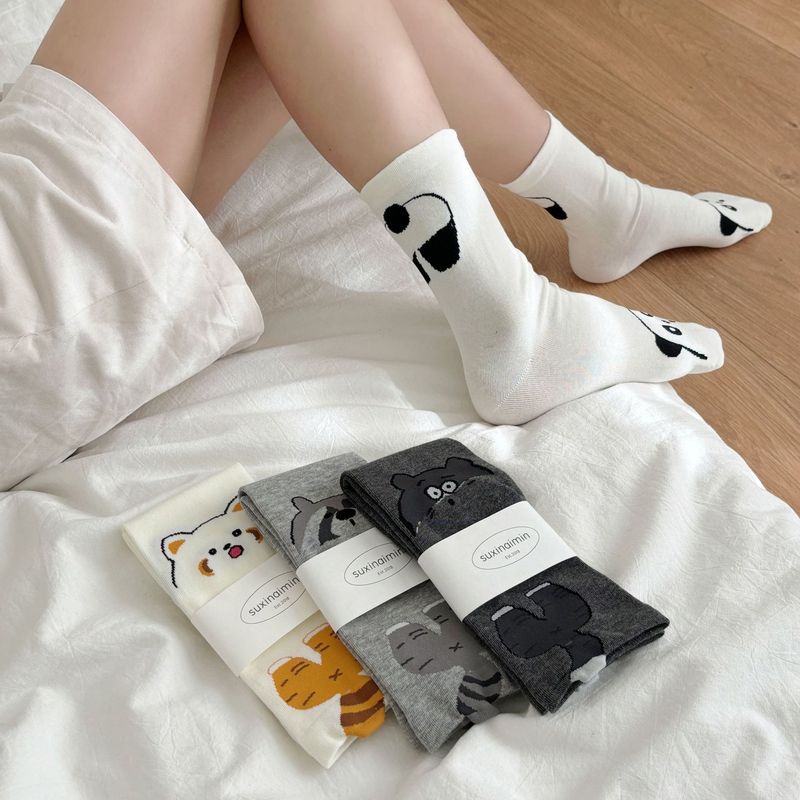 袜子女春秋立体卡通小浣熊可爱抽象搞怪中筒ins潮棉袜日系|undefined