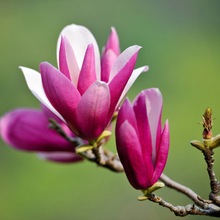 �²��е���N���m�N�����m�������m�����m�V���m�@�־G������Ʒ�N