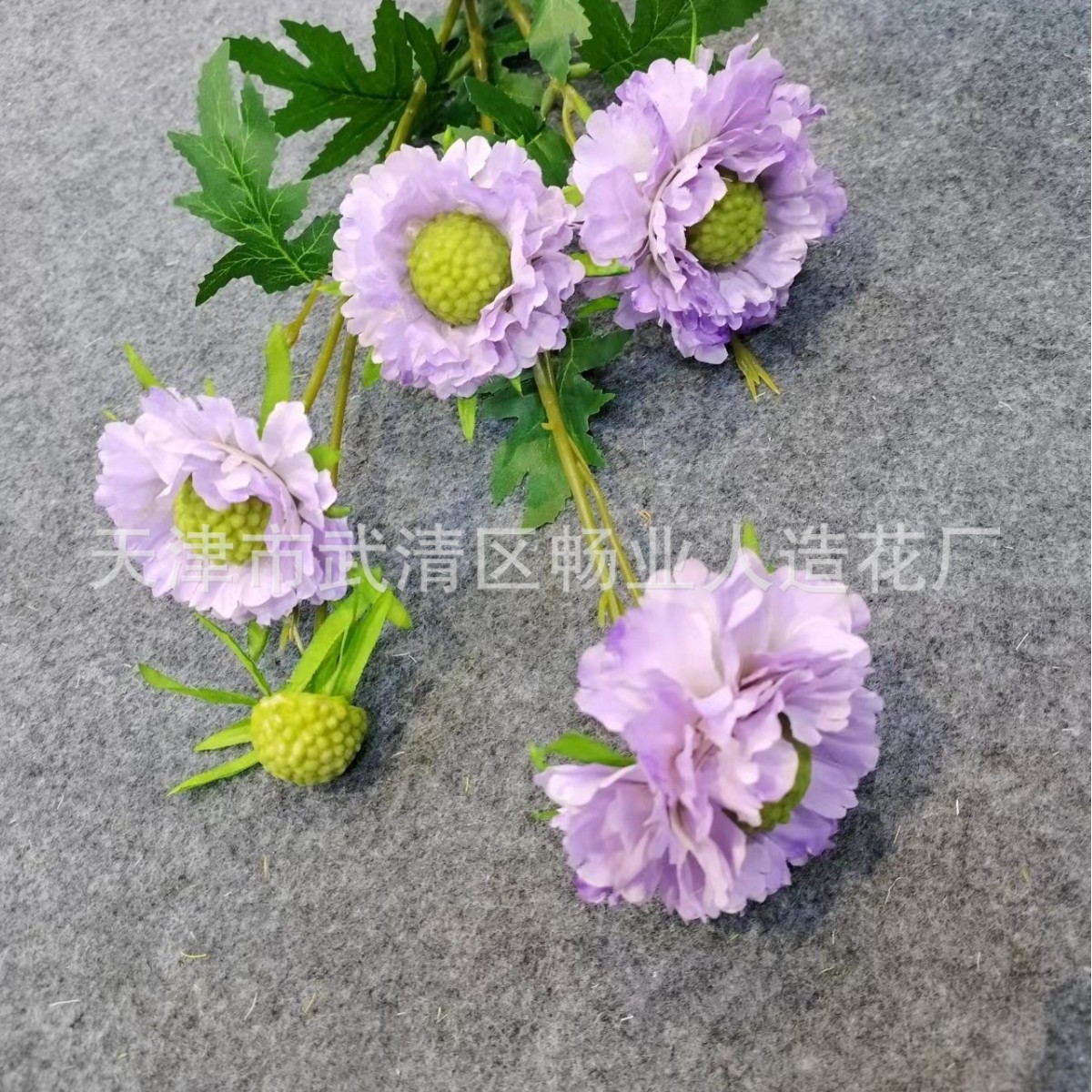 소나무 애벌레 잔디