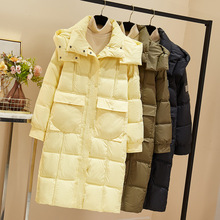 ���\Ů����2025�¿�������б���ɼӺ��������L����q�޷�����