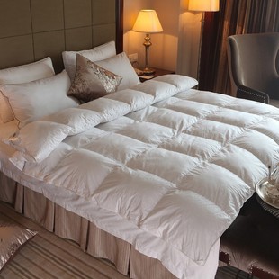 Down quilt 95 white goose down cotton quilt core hotel quilt thickened warm winter quilt spring and autumn quilt factory direct distribution