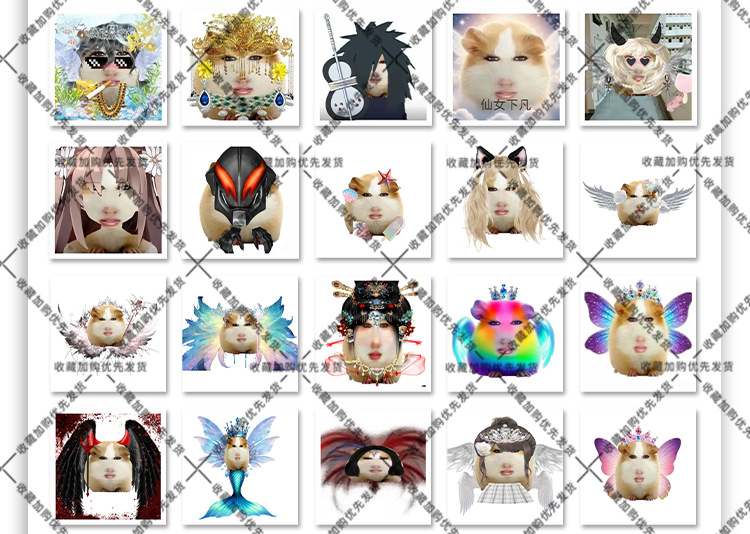 160张猪妞沙雕猎奇仙女穿搭仓鼠meme网络梗图审美积累抽象壁纸贴-阿里巴巴
