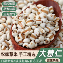 ����޲����޲������؛����ȿɴ���ඹ�t����������s�Z�ּZ��