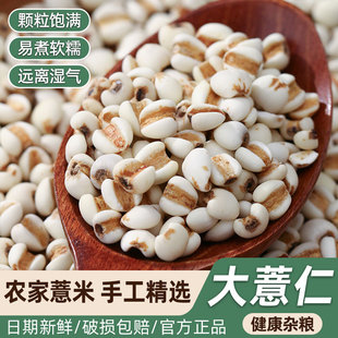 ����޲����޲������؛����ȿɴ���ඹ�t����������s�Z�ּZ��