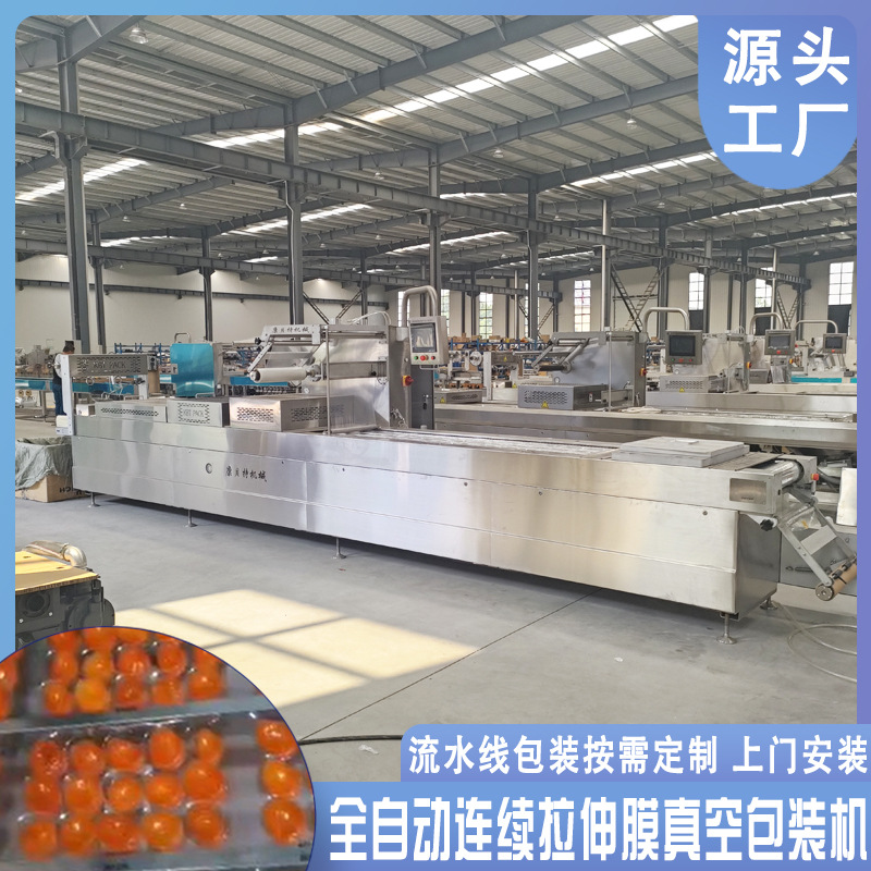 香菇真空包装机 全自动羊杂预制菜连续包装设备 520拉伸膜真空机