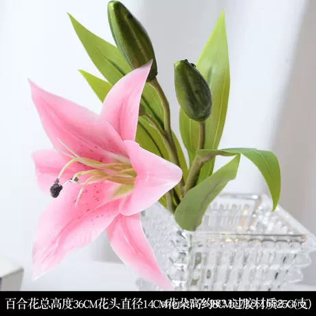 Short branch lily pink