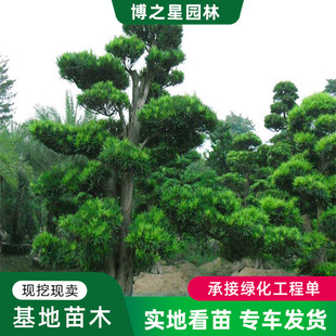 �����_�h�ɴ��ͥԺ���͘��辰��ӭ���Ʉe�������ձ��_�h�ɺ��ɘ�