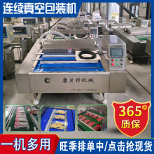 双封条滚动式真空包装机 全自动抽真空设备 食品真空封口机厂