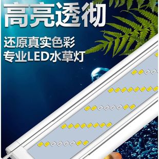 �~�ן�ˮ�ݟ�ˮ����LED���������ß�֧�ܟ��쾰�ݸן����GС��