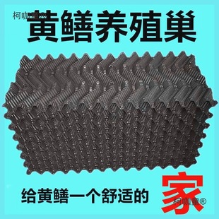 ���q�X�~��Ѩ�Bֳ���X�S�X�˹��BֳС�糲�����q��Ѩ�a�~�D��̫��