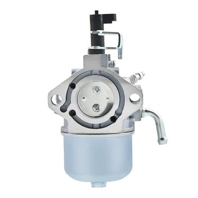 Briggs & Carburetor