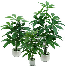 ����Gֲ�辰�پGֲ������؎��軨�ܔ[�����[�҃ȿ͏d�b�