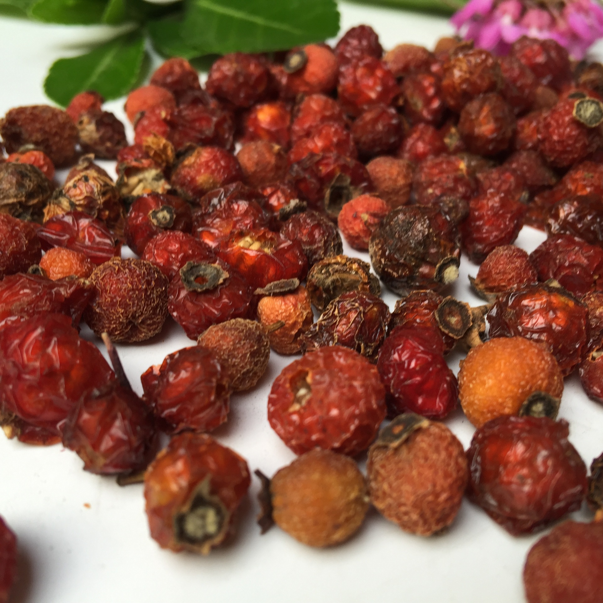 Rose Hip Dried Fruit Mei Gui Guo 500g Herbal Tea Ingredient and Oil Raw Material quality and texture