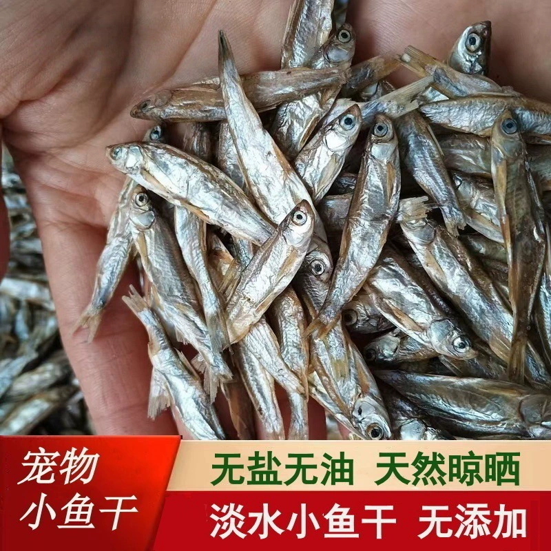 Сушеная рыба для кошек, лакомство для питомцев, несоленая сушеная рыба для котят, корм для кошек на прорезывание зубов, речные креветки, лиофилизированная рыба с разнообразными видами рыб