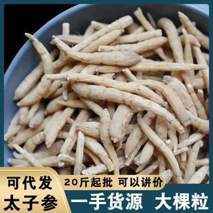�a��؛Դ�F����ș�Ŀ��Ҝ�������؛������ͯ��ɢ�b̫�Ӆ��������l